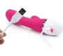 Lovetoy Vibe Dreamer II USB Rose Red