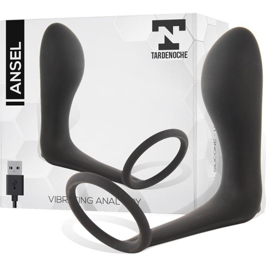 Tardenoche Ansel Anal Plug with Vibration and Cock Ring USB Silicone