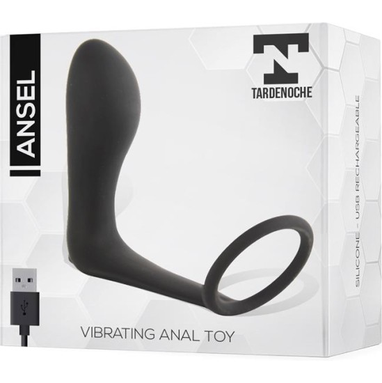 Tardenoche Ansel Anal Plug with Vibration and Cock Ring USB Silicone