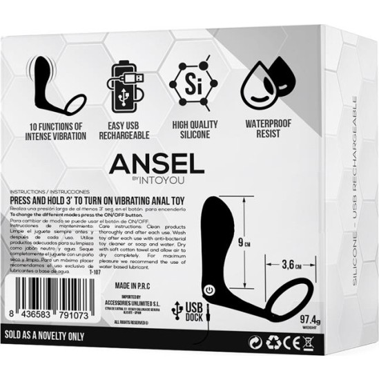 Tardenoche Ansel Anal Plug with Vibration and Cock Ring USB Silicone
