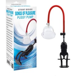 Chisa Pussy Pump Songs of Pleasure