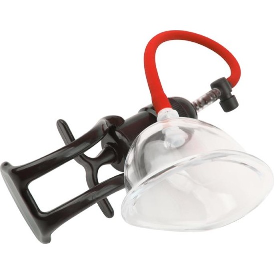 Chisa Pussy Pump Songs of Pleasure