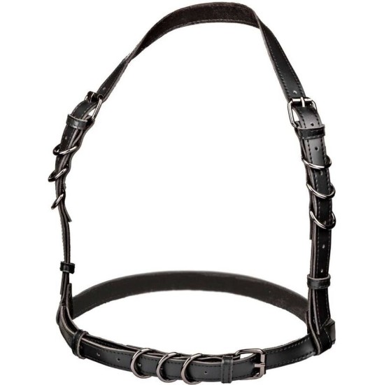 Calexotics EUPHORIA HALTER BUCKLE HARNESS BLACK