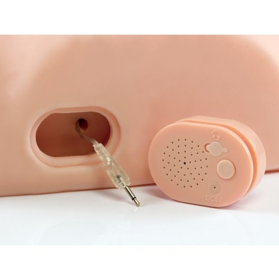 Pdx Male Male Masturbator Dirty Talk Interactive Fuck Him Silly