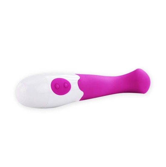 Pretty Love Flirtation Vibrators violets