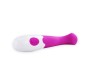 Pretty Love Flirtation Vibrators violets