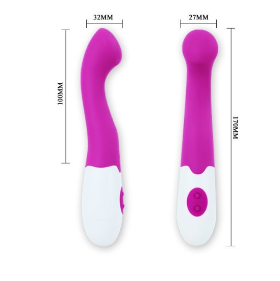 Pretty Love Flirtation Vibrators violets