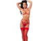 Amorable 5 Pieces Set with Open Bra Red One Size