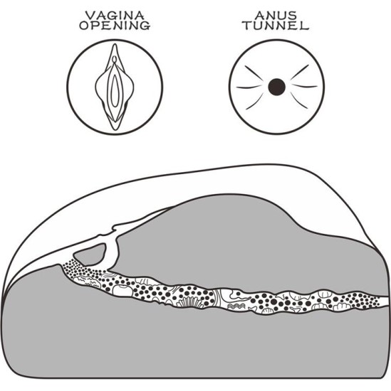 Lovetoy Masturbator Streetgirls 1