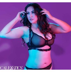Calexotics EUPHORIA PLUS SIZE HALTER BUCKLE HARNESS BLACK