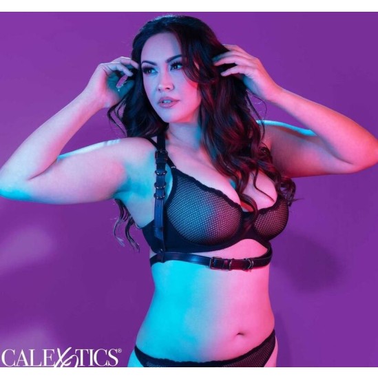 Calexotics EUPHORIA PLUS SIZE HALTER BUCKLE HARNESS BLACK