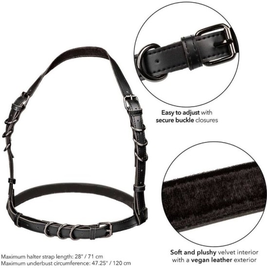 Calexotics EUPHORIA PLUS SIZE HALTER BUCKLE HARNESS BLACK