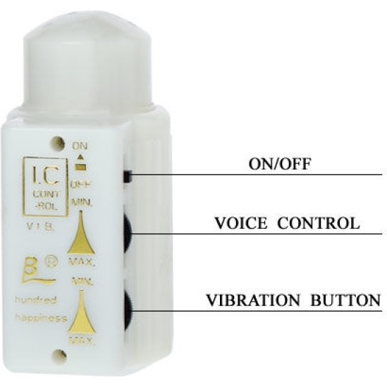 Baile For Him BAILE - MR BIG REALISTIC PENIS AND ANUS MASTURBATOR