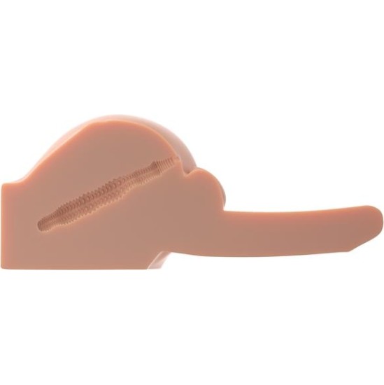 Pdx Male Interactive Masturbator Dirty Talk Bad Boy