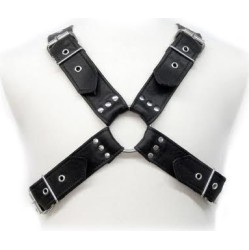 Leather Body BUCKLES HARNESS