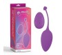 Chisa Vibrating Egg Remote Control Sweety Teaser USB 5.7