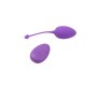 Chisa Vibrating Egg Remote Control Sweety Teaser USB 5.7