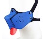 A-Gusto Neoprene Puppy Face Mask Blue