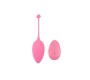 Chisa Vibrating Egg Remote Control Sweety Teaser USB 5.7