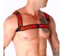 Macho Underwear MACHO – KAHEKORDSED PUNASED RAKSMED