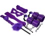 Experience BDSM FETISH KIT PURPLE SERIE