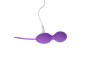Chisa Vibrating Egg Remote Control Ridged USB Silicone 7.4
