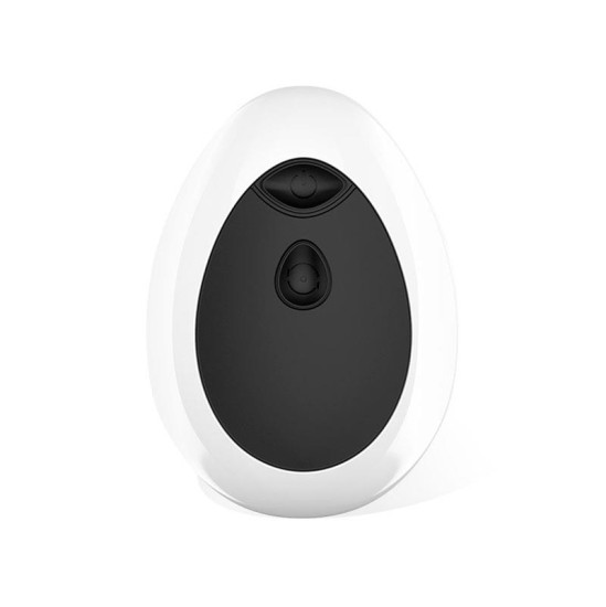 Latetobed Dwen P-Spot Vibrator USB ar tālvadības pulti