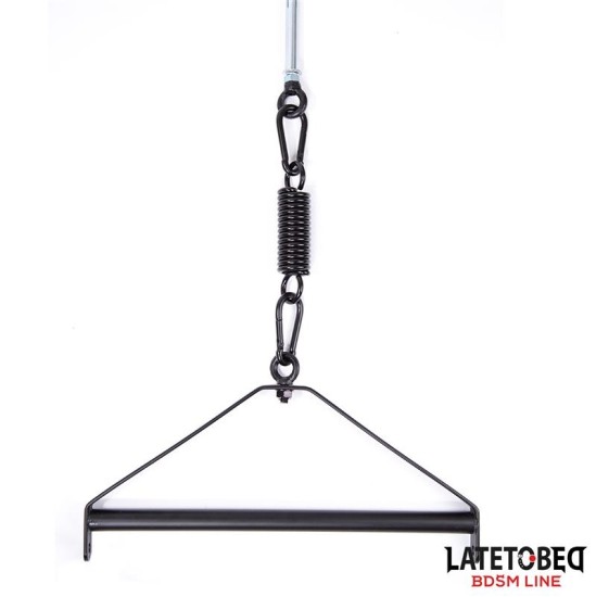 Latetobed Bdsm Line Ceiling Swing