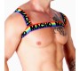 Macho Underwear MACHO — DUBULTĀS ZIŅAS PRIDE LIMITED