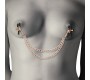 Coquette Fantasy COQUETTE CHIC DESIRE - FANTASY METAL NIPPLE CLIPS WITH CHAIN