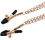 Coquette Fantasy COQUETTE CHIC DESIRE - FANTASY METAL NIPPLE CLIPS WITH CHAIN