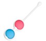 Adalet Kit 4 Kegel Balls Silicone