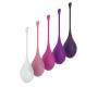 A-Gusto Set of 5 Kegel Balls Different Weight