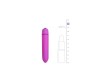 Easytoys Bullet Vibrator Purpurs