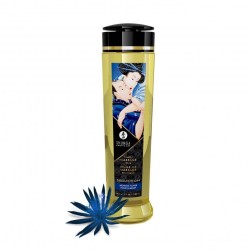 Shunga Massage Oil Seduction 240 ml