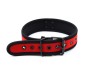 A-Gusto Neoprene Puppy Collar Adjustable Red