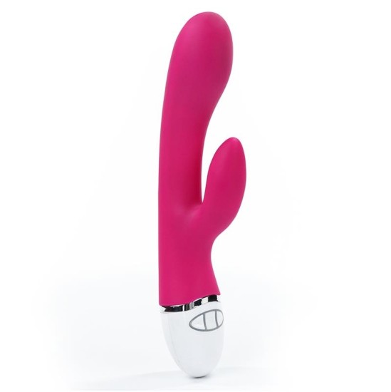Lovetoy Vibe Dreamer USB Rose Red