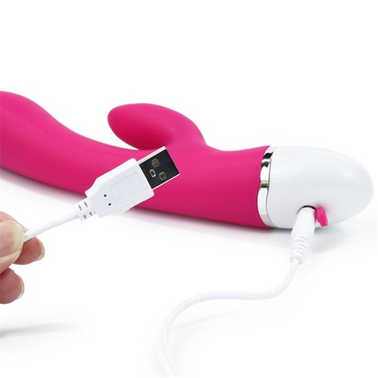 Lovetoy Vibe Dreamer USB Rose Red