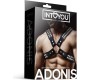 Intoyou Bdsm Line Adonis Chest Bondage zirglietas vīriešiem, vegānu āda