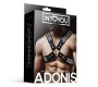 Intoyou Bdsm Line Adonis Chest Bondage zirglietas vīriešiem, vegānu āda