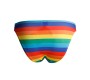 Cut4Men C4M01 Low Rise Bikini Brief Rainbow