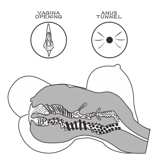 Lovetoy Мастурбатор, уличные девушки 6