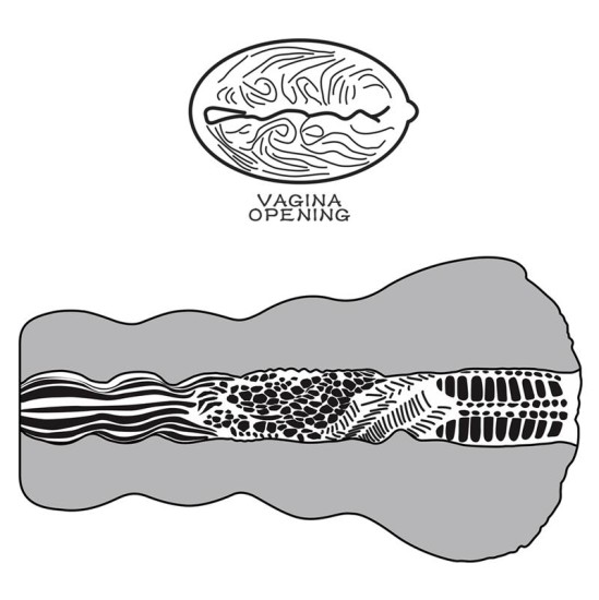 Lovetoy Masturbator Aliens Pie 3