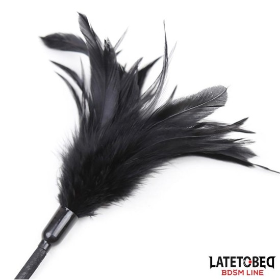Latetobed Bdsm Line Multi Feathers Tickler and Lace Ribbon Paddle Comb