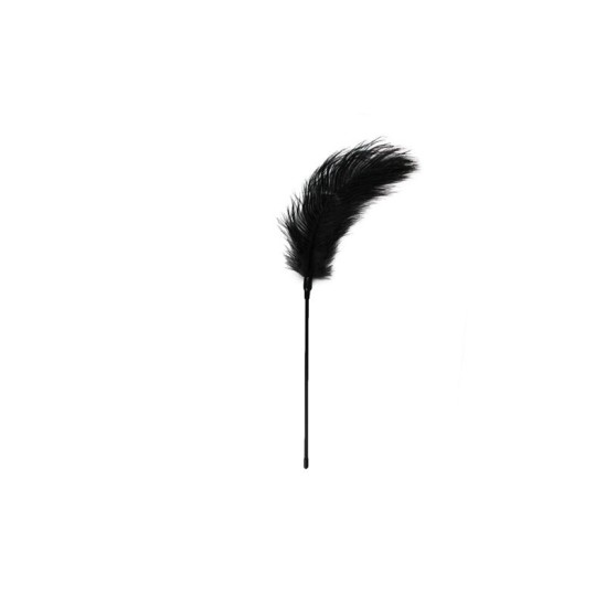 Easytoys BLACK FEATHER