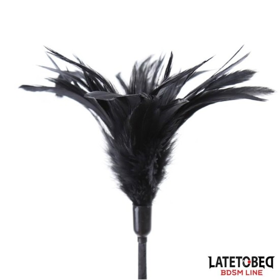 Latetobed Bdsm Line Multi Feathers Tickler and Lace Ribbon Paddle Comb