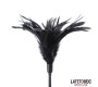 Latetobed Bdsm Line Multi Feathers Tickler and Lace Ribbon Paddle Comb