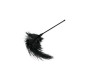 Easytoys BLACK FEATHER