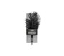 Easytoys BLACK FEATHER