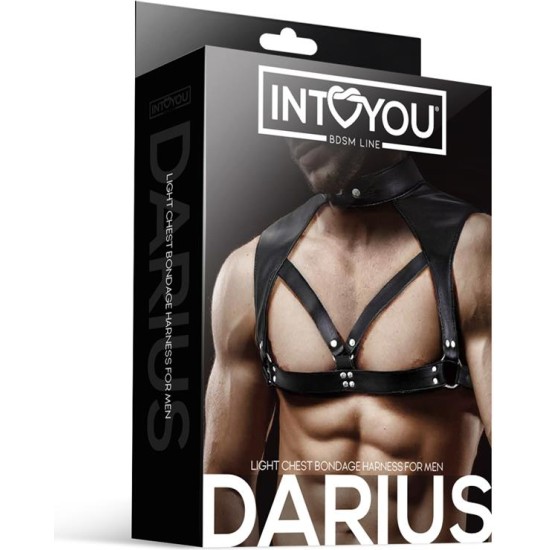 Intoyou Bdsm Line Darius Chest Bondage zirglietas vīriešiem, vegānu āda
